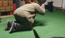 Vertrauen im Hundetraining